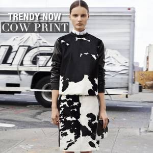 Cow Print