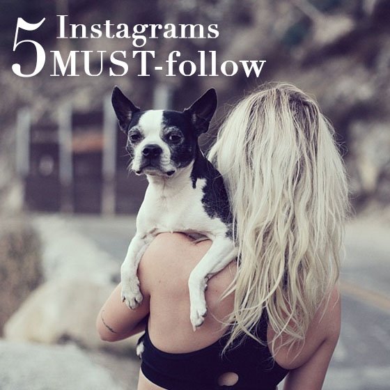 5 Instagrams MUST-Follow