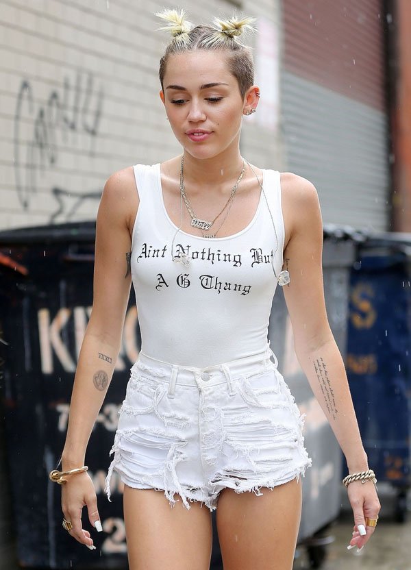 Miley Cyrus Double Hair Bun