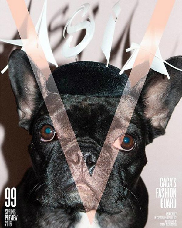 v magazine cover dog