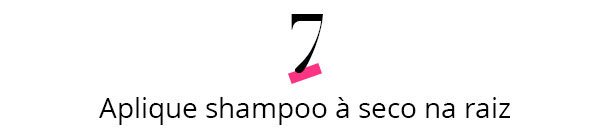 shampoo seco