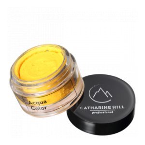 Tinta Catharine Hill Acqua Color 2241 Amarelo 20G