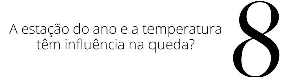 queda capilar - queda capilar - queda capilar - queda capilar - queda capilar