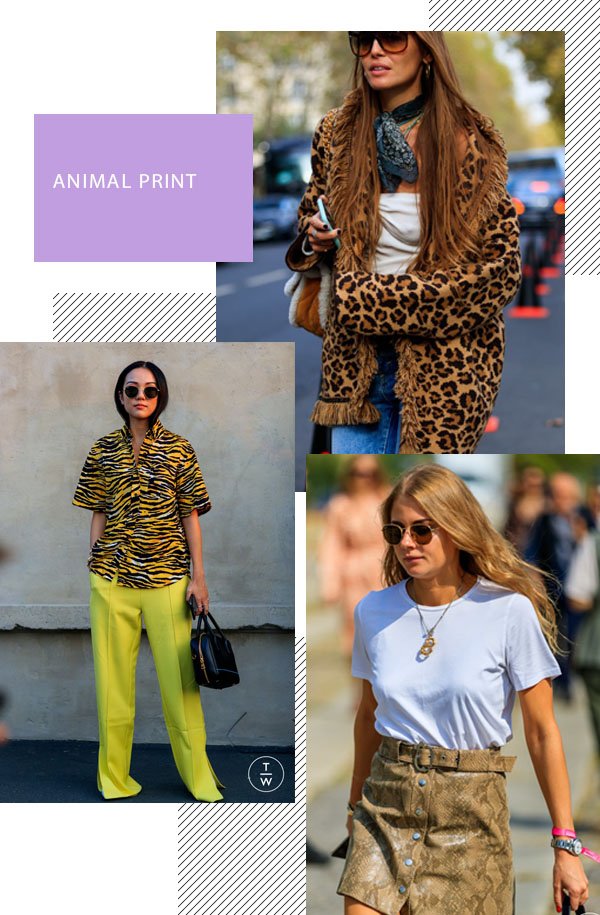 It girls - Animal print - Animal print - Inverno - Street Style