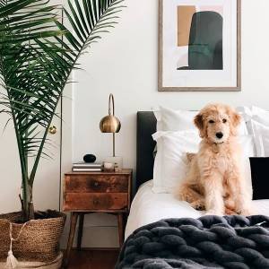 6 dicas para conquistar um quarto digno de foto do Pinterest