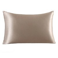 ZIMASILK 100% Mulberry Silk Pillowcase for Hair and Skin,with Hidden Zipper,Both Side 19 Momme Silk,600 Thread Count, 1pc (Queen 20\'\'x30\'\', Taupe)