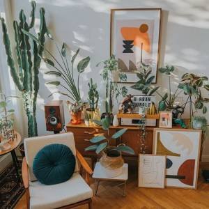 8 plantas para ter em casa de acordo com a luz