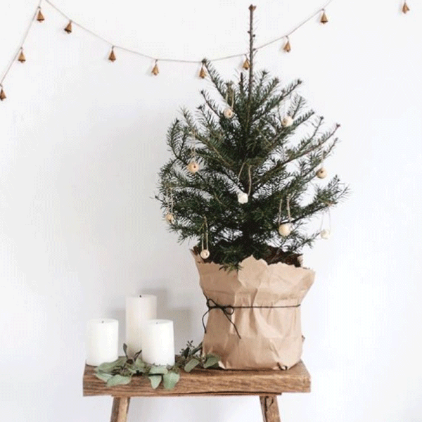 O guia infalível dos enfeites de Natal para decorar sua casa » STEAL THE  LOOK