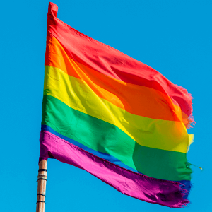 6 iniciativas LGBTQIA+ para você conhecer no Dia do Orgulho Gay e apoiar sempre