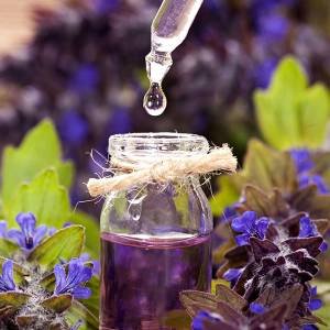 Aromaterapia: o guia dos óleos essenciais
