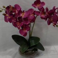 Arranjo de orquídea roxa - H8 import