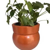 Vaso Em Cerâmica Para Plantas - Meu Vaso de Barro