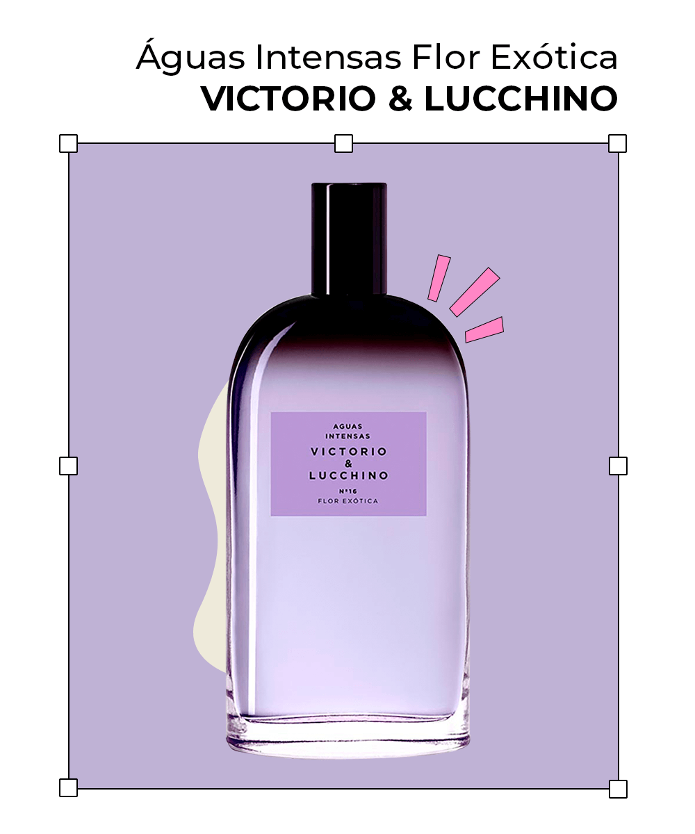 Victorio & Lucchino - perfumes veganos - perfumes veganos - perfumes veganos - perfumes veganos - https://stealthelook.com.br