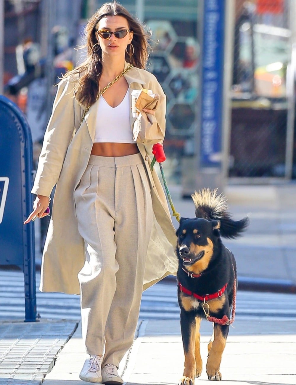 Emily Ratajkowski - calça loose, cropped branco, blazer e tênis - Emily Ratajkowski - Verão - andando na rua com um cachorro - https://stealthelook.com.br