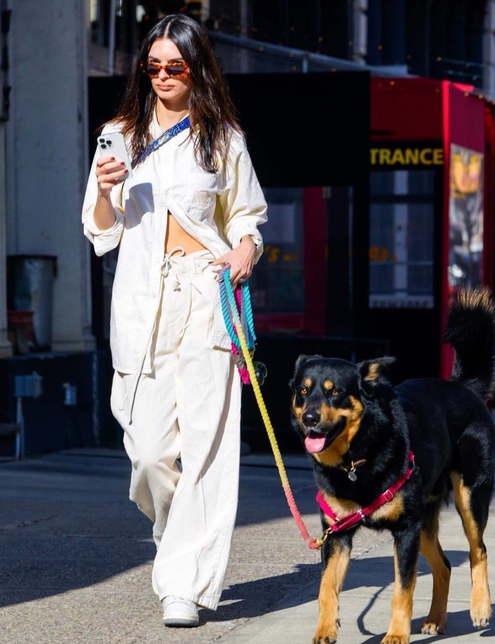 Emily Ratajkowski - calça branca, blusa de manga longa e óculos de sol - Emily Ratajkowski - Verão - andando na rua com um cachorro - https://stealthelook.com.br
