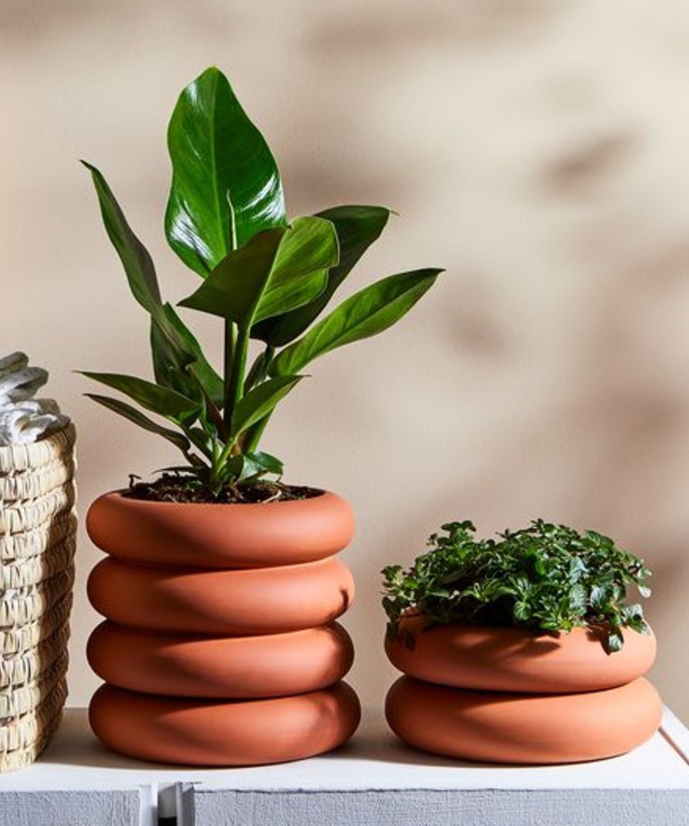 Food52 - decoração - vasos de plantas - plantas - décor - https://stealthelook.com.br