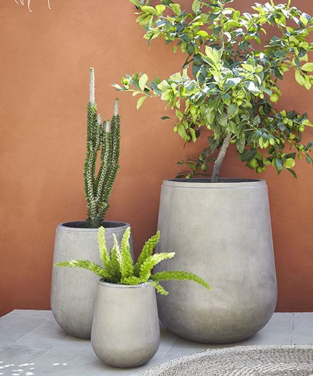 Garden Life - decoração - vasos de plantas - plantas - décor - https://stealthelook.com.br