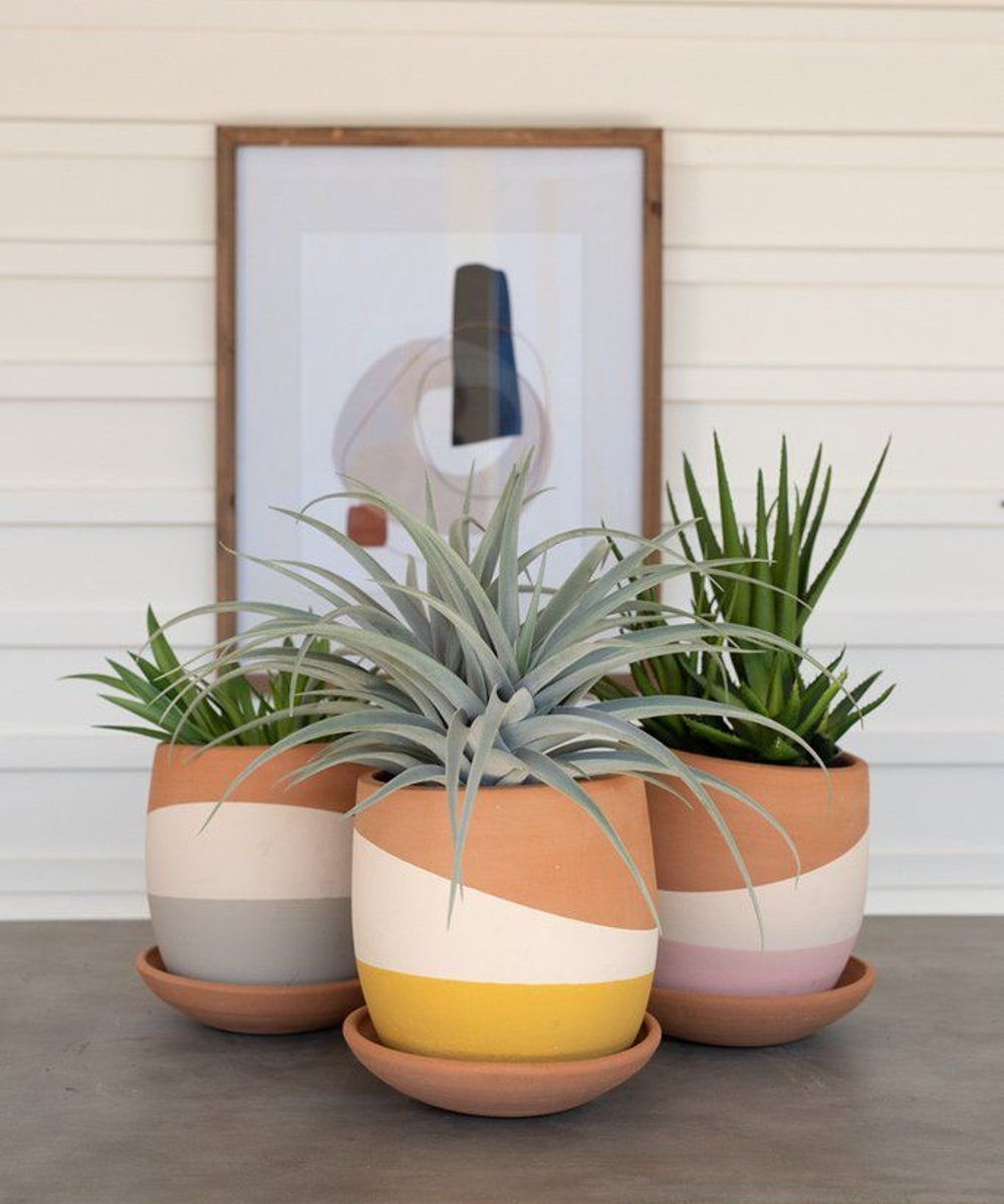 Modishstore - decoração - vasos de plantas - plantas - décor - https://stealthelook.com.br