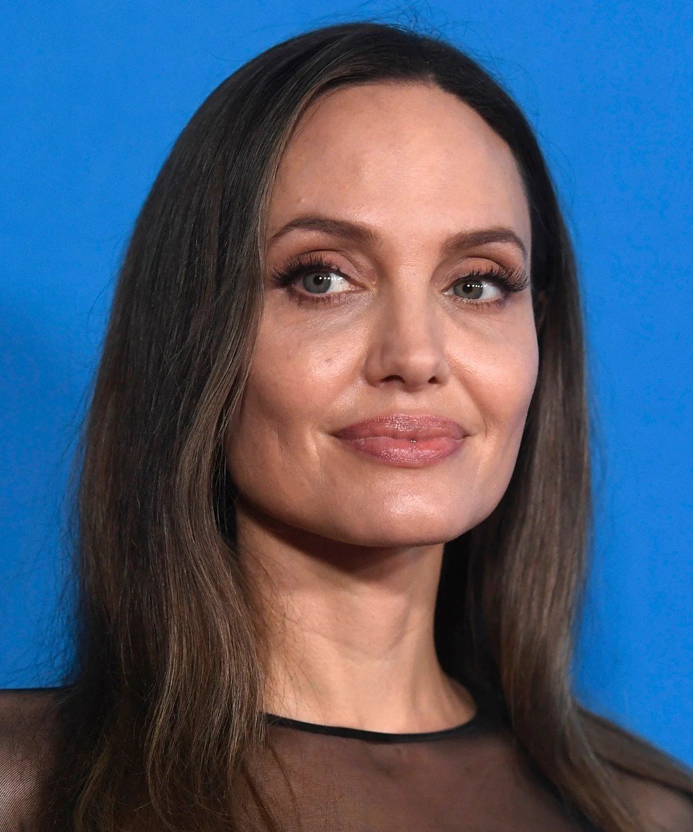 Angelina Jolie - cabelo-morena - Angelina Jolie - outono - brasil - https://stealthelook.com.br