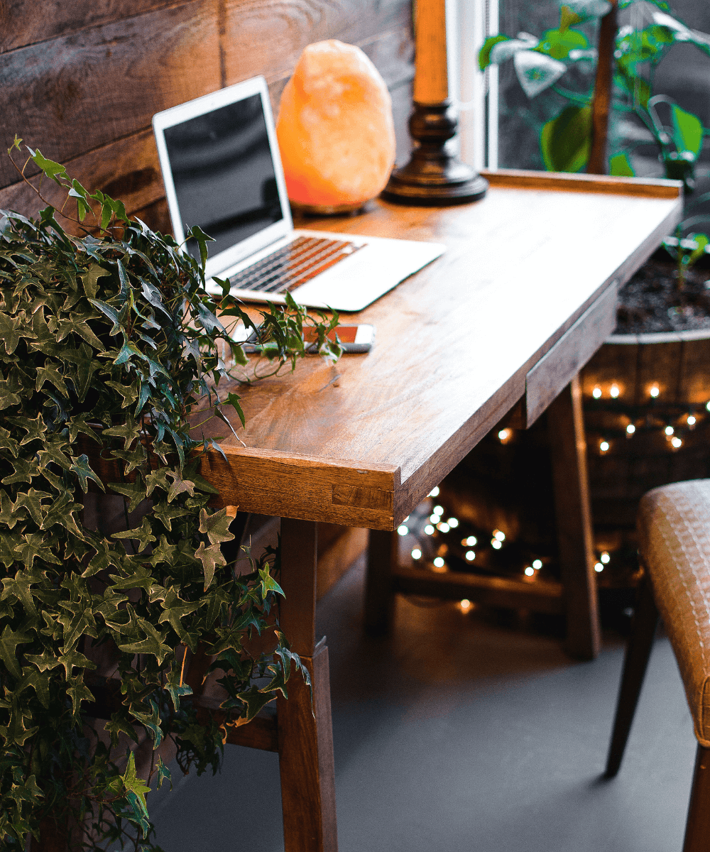 Andrea Davis - N/A - mesa de escritório - inverno - foto de uma mesa de madeira com um computador aberto em cima e plantas em volta - https://stealthelook.com.br