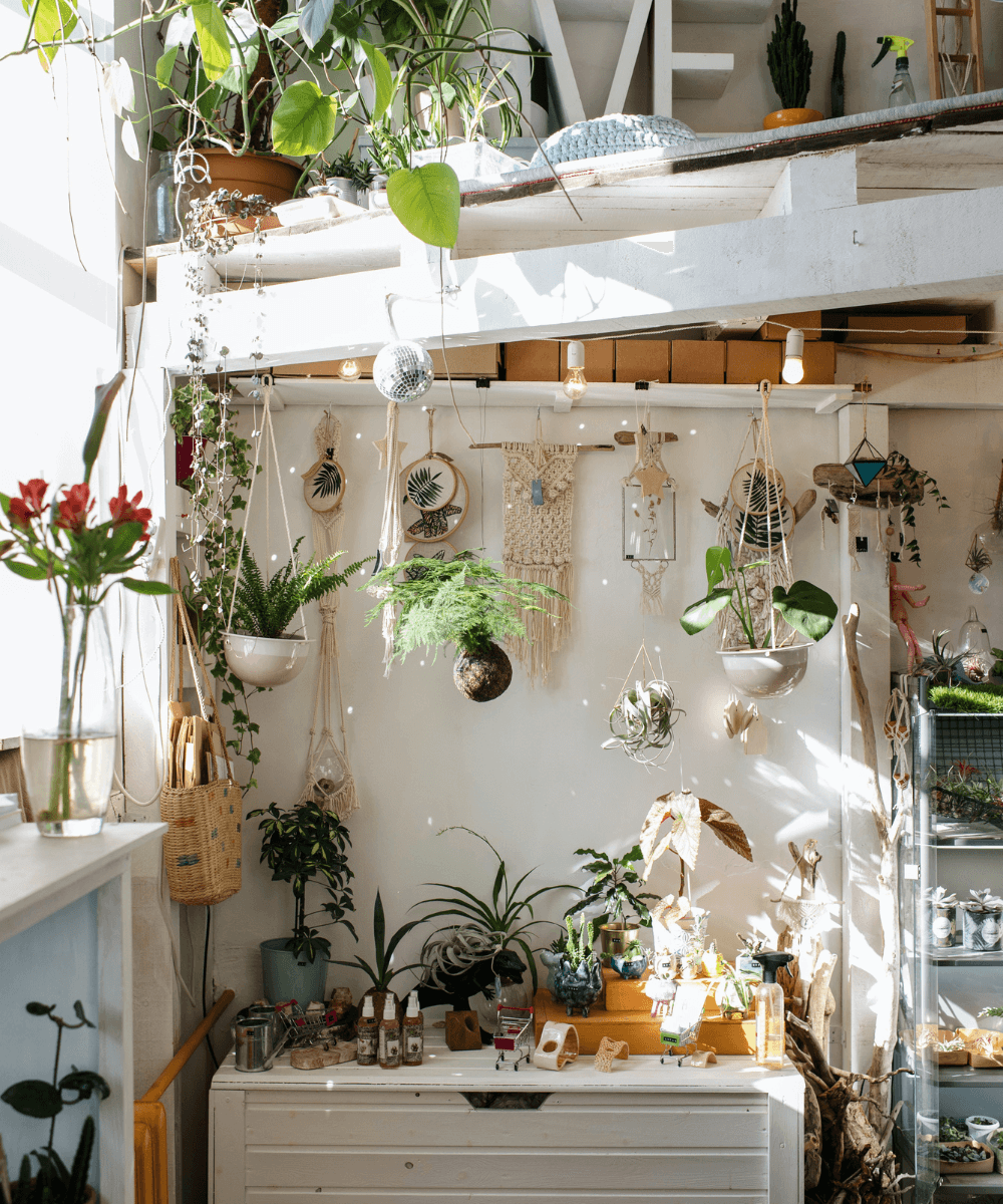 Ksenia Chernaya -     - itens para casa - outono - foto de um cômodo com móvel branco e plantas - https://stealthelook.com.br