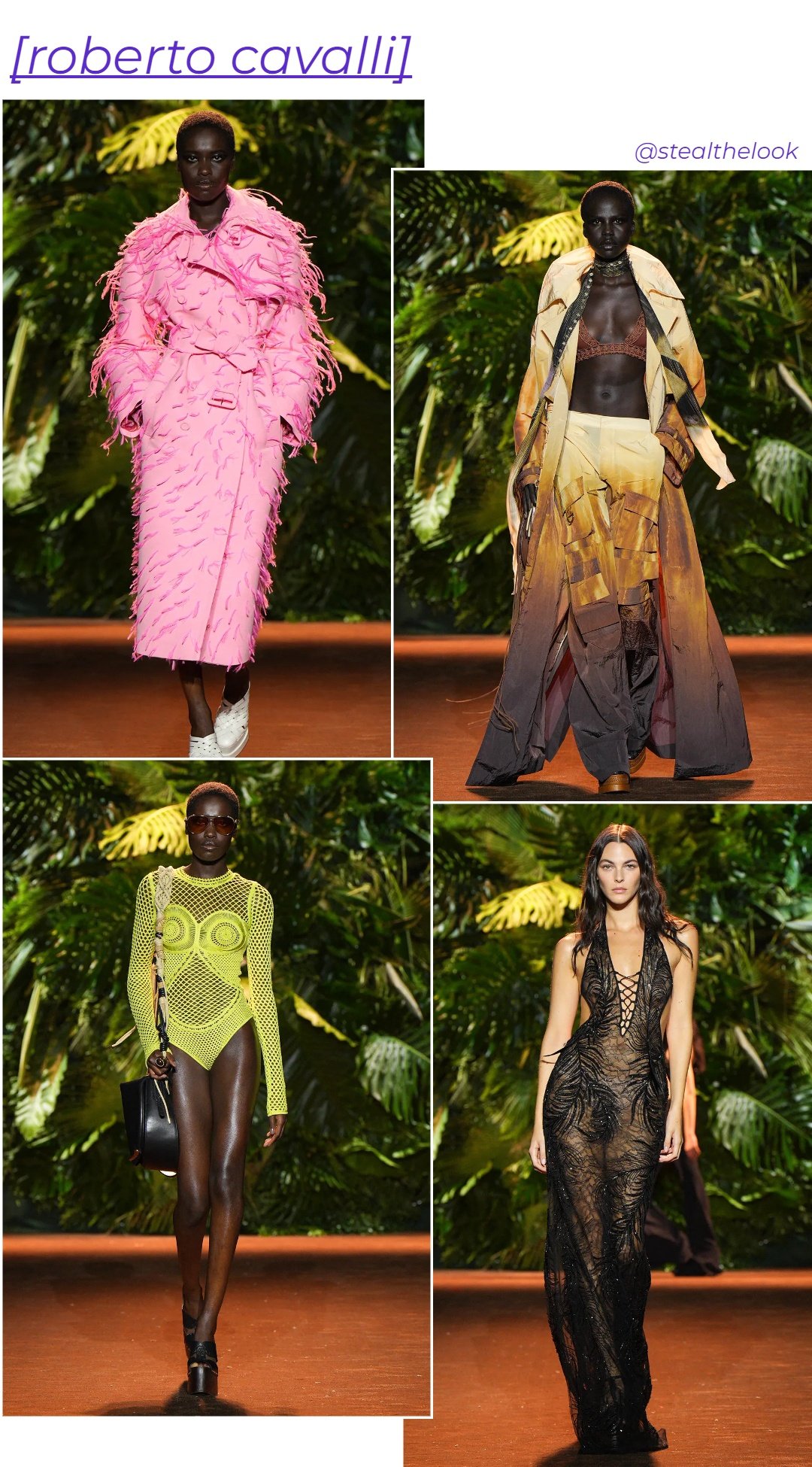 Roberto Cavalli - roupas diversas - Milano Fashion Week - primavera - colagem de imagens - https://stealthelook.com.br