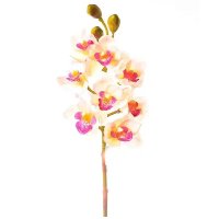 Orquídea Artificial Cimbidium X8 Toque Real 74Cm - Bela Flor