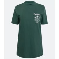 Camiseta T-Shirt Em Meia Malha Com Estampa Quidditch Hogwarts Verde
