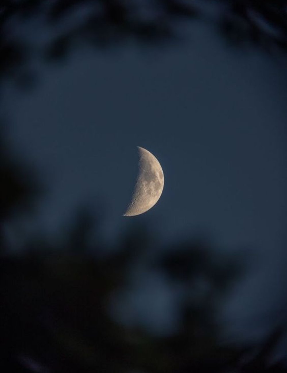 Imagem de lua nova em câncer 2024 no céu noturno com um leve desfoque nas árvores em primeiro plano.