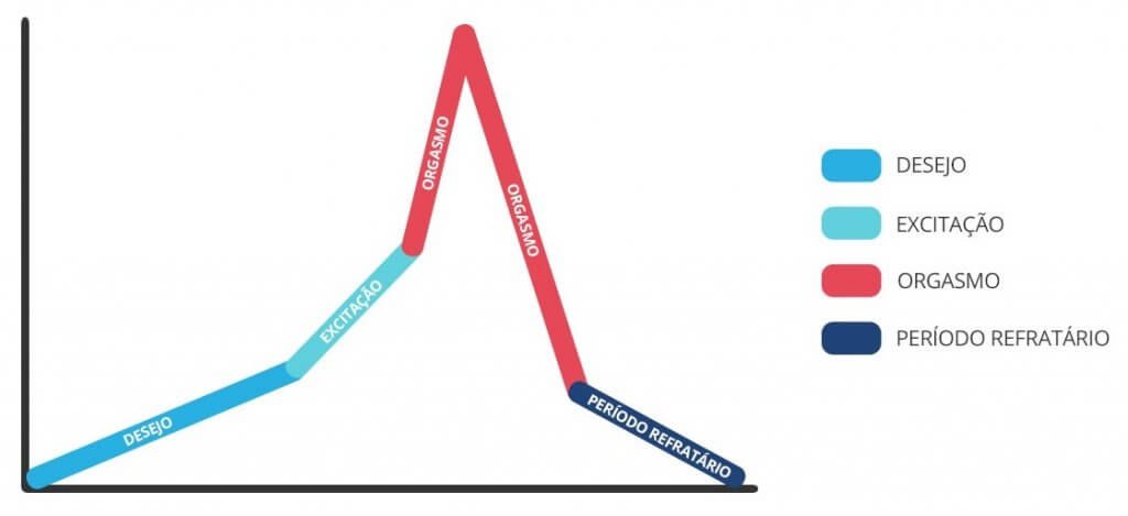 Gráfico representando as fases do ciclo de resposta sexual: desejo (azul claro), excitação (verde-água), orgasmo (vermelho) e período refratário (azul escuro). Essencial para estudos de como ter um orgasmo.