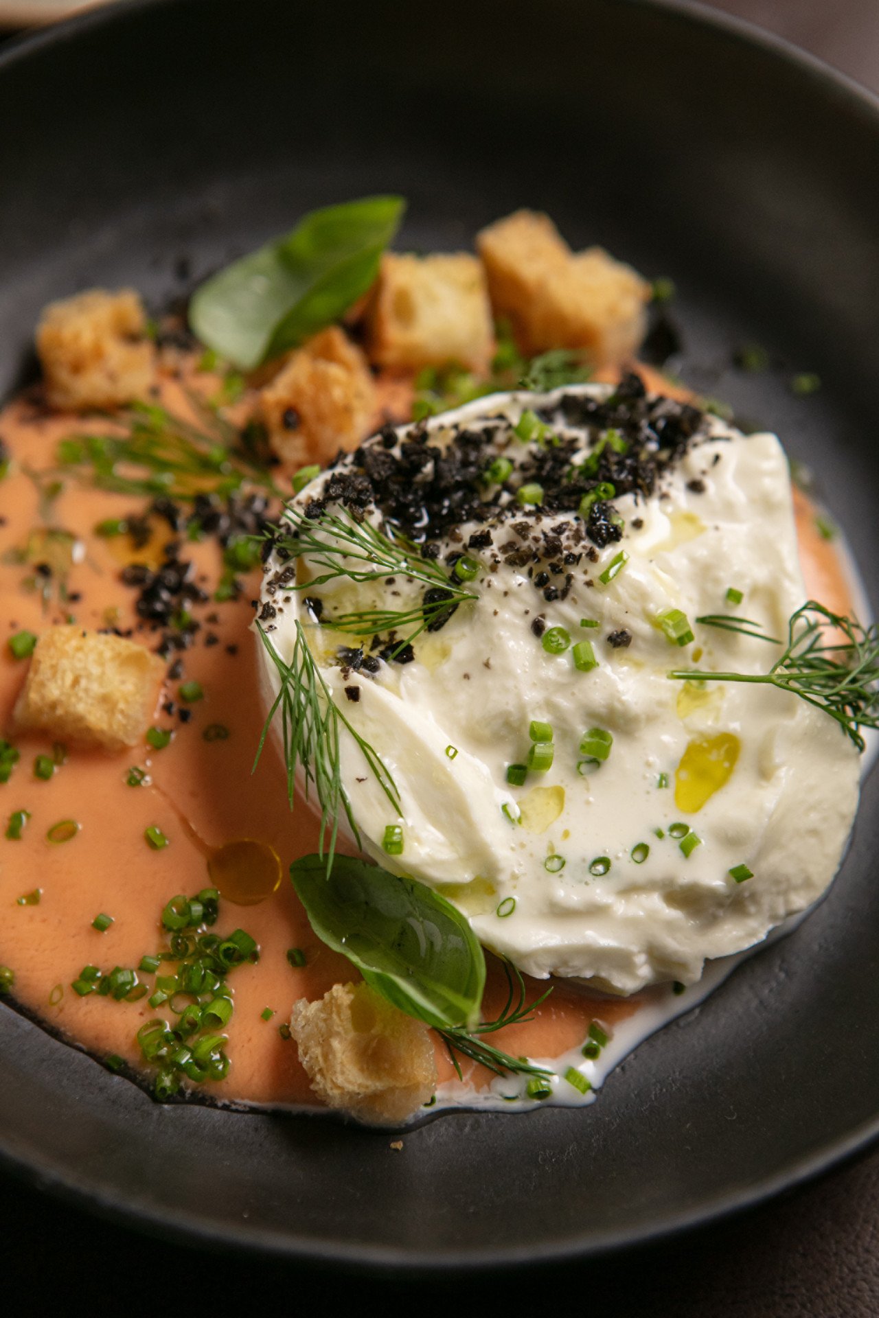 Imagem de prato gourmet com foco na moda culinária moderna. Creme alaranjado na base, com porção de queijo cremoso e crumble. Decoração com folhas verdes frescas, azeite e temperos variados. Restaurantes em Buenos Aires.