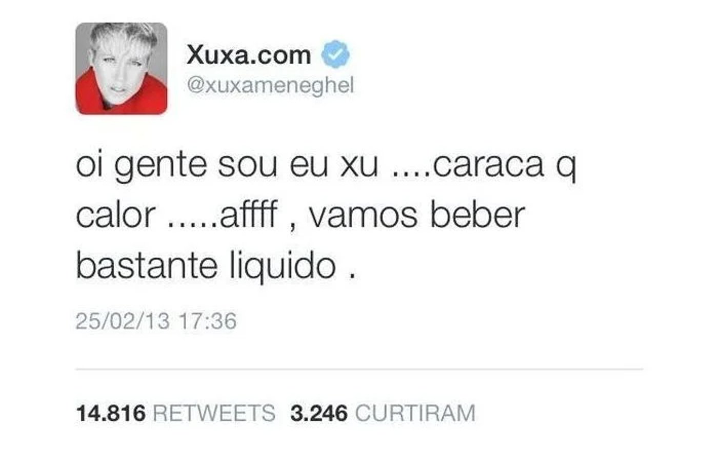 Print de uma postagem no Twitter com foto de perfil de uma mulher loira usando casaco vermelho. Texto da postagem fala sobre o calor e a importância de beber líquidos. Publicada em 25/02/2013. Recebeu 14.816 retweets e 3.246 curtidas.