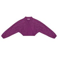 Camisa Feminina Manga Longa Com Strass Endless Roxo