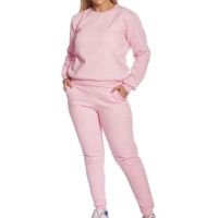 Conjunto Moletom Feminino Gola Careca Blusa com Calça - Rosa