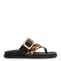 Papete Animal Print Fivela Papete Animal Print Fivela Papete Animal Print F