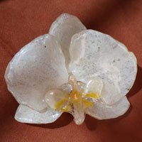 Presilha Orquídea Resinada Branco