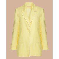 Blazer Amarelo Carol Bassi vermont