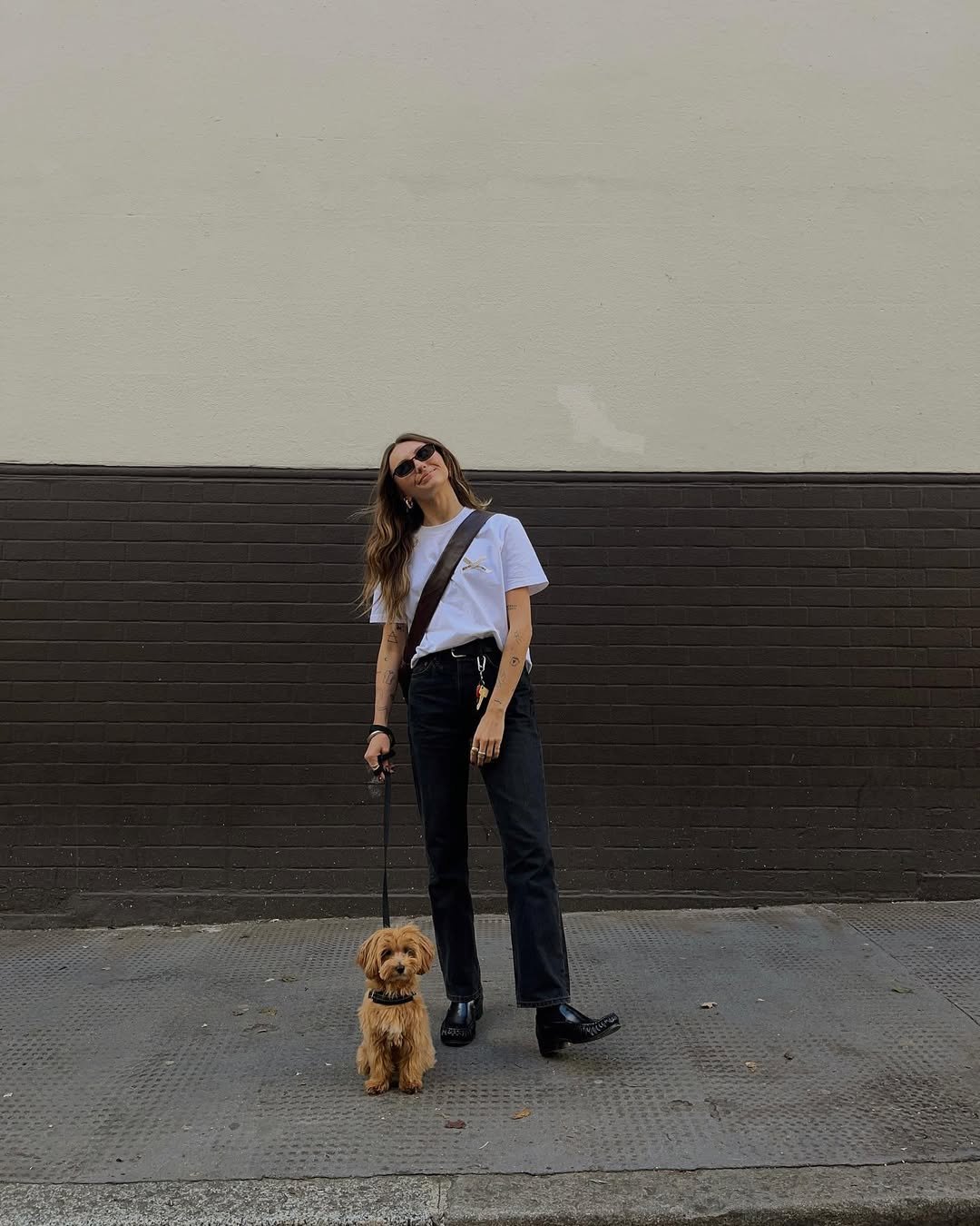 Pessoa usando looks com calça jeans e camiseta branca, com cachorro pequeno na coleira em frente a parede bicolor.