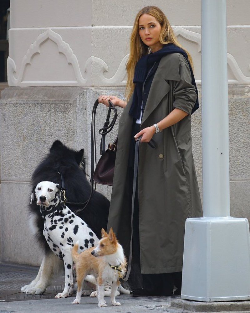 Pessoa elegante com casaco trench e três cachorros na calçada urbana. Elementos de moda semelhantes a The Row.