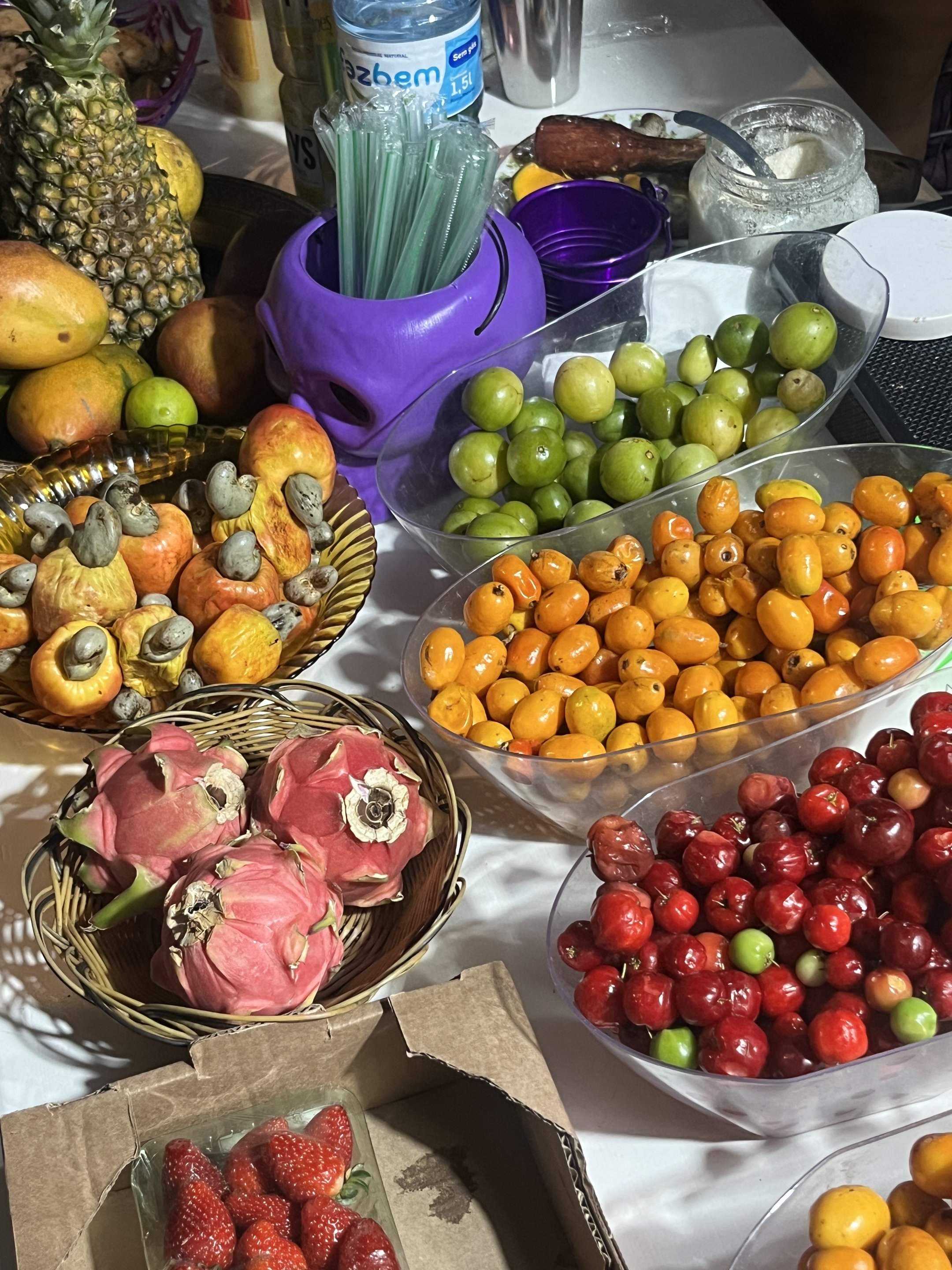 Mesa com diversas frutas tropicais, caju, acerola, carambola e morango. Perfeito para fazer um suco refrescante em Salvador.