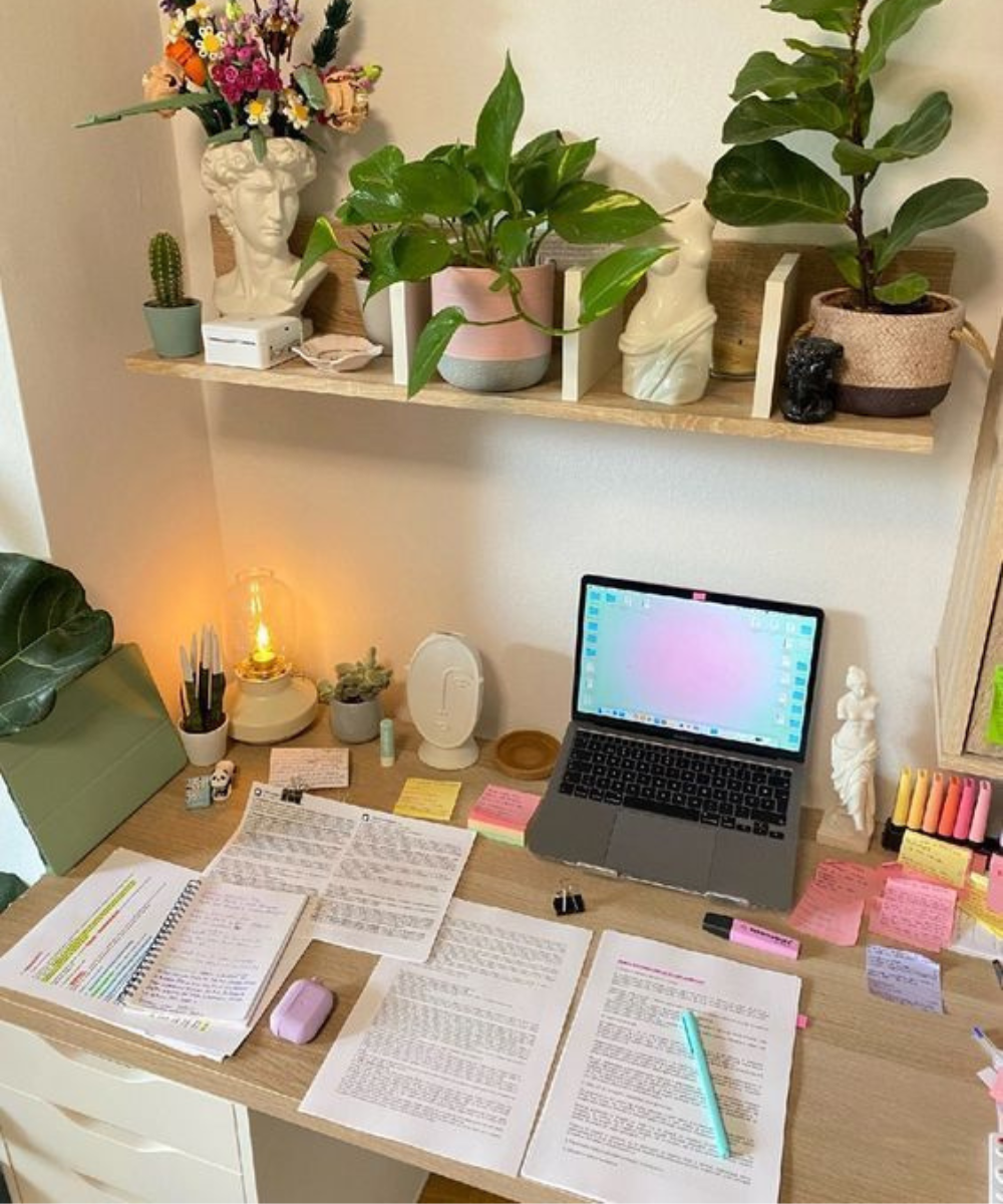 Mesa de estudo organizada com laptop, plantas e diversos itens de papelaria, incluindo anotações e canetas coloridas.