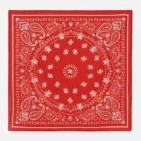 Lenço Bandana em Tricoline com Estampa Vermelho