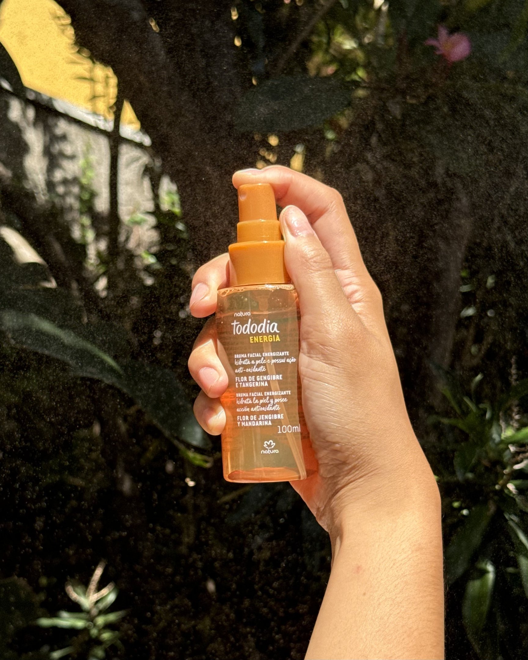 bruma facial linha natura tododia energia