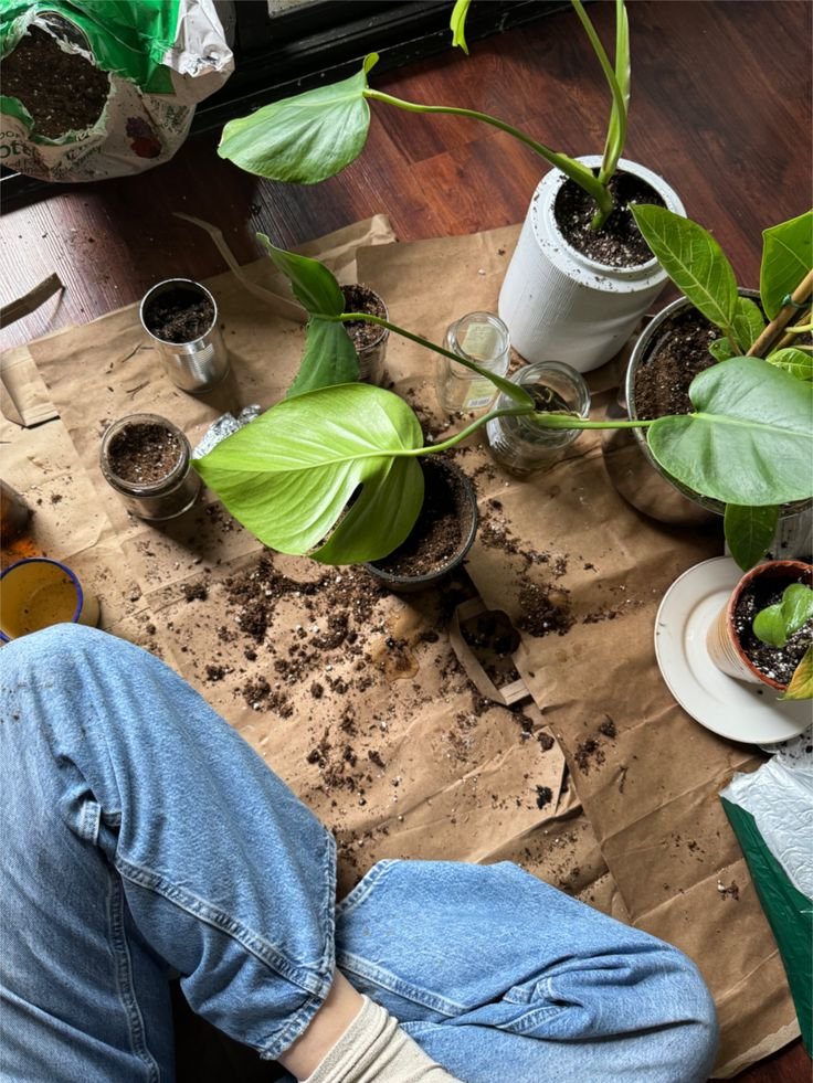 Pessoa cuidando de plantas, com vasos e terra espalhados. O cultivo de plantas é um dos hobbies relaxantes.