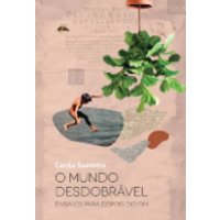 Livro - O mundo desdobrável