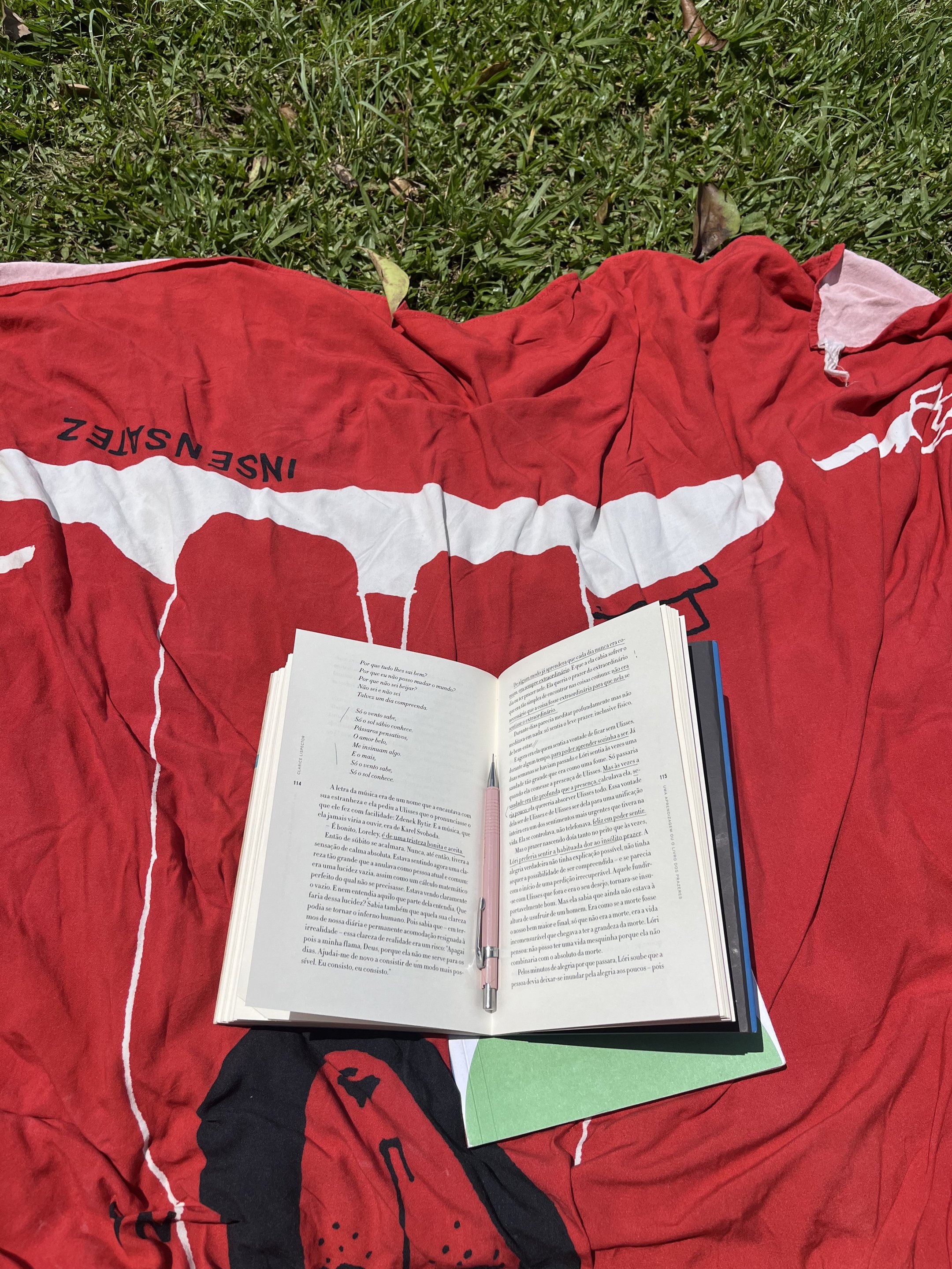 Livro aberto sobre toalha vermelha no gramado, com lápis entre as páginas.