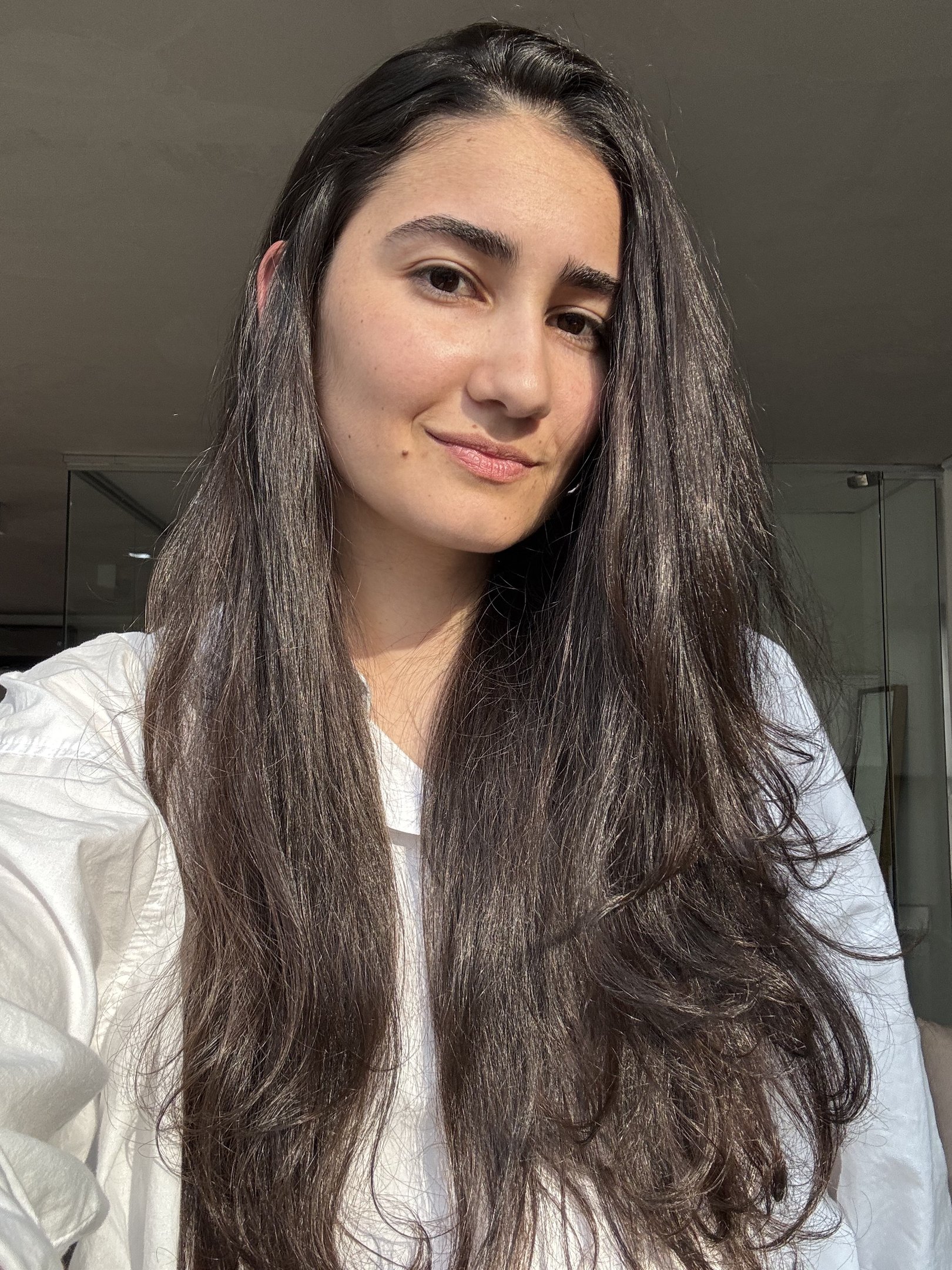 Pessoa com cabelo liso, aparentando estar saudável e bem cuidado, usando um primer de cabelo.