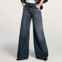 Calça Jeans Andreia - Jeans Light Gray