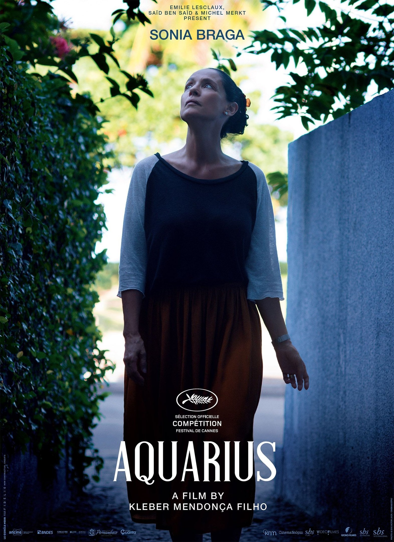Sonia Braga em cena do filme