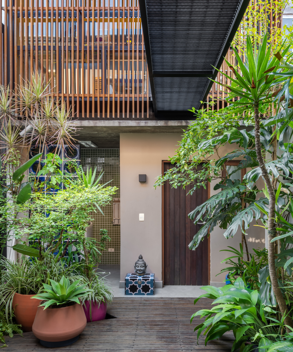 Jardim com plantas exóticas e porta marrom. Caixa decorativa ao centro. Ambiente calmo e bem iluminado.